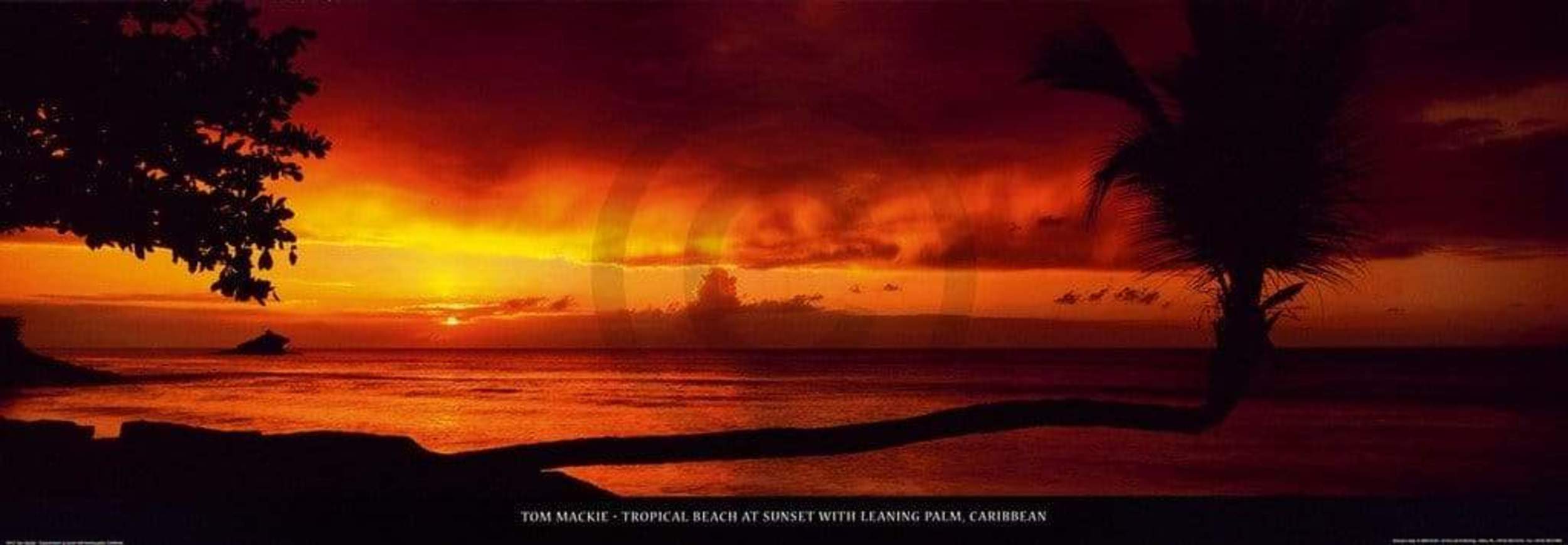pgm kunstdruck tom mackie - tropical beach at sunset 95x33cm