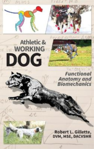 Robert L Gillette Athletic And Working Dog (gebundene Ausgabe) (us Import)