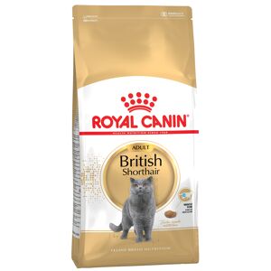 Royal Canin Feline British Shorthair 4kg 4 Kg Pellets