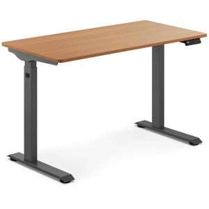 Schreibtisch Höhenverstellbar 73 - 123 Cm Stehschreibtisch Braun/grau