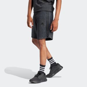 Shorts Adidas Sportswear 
