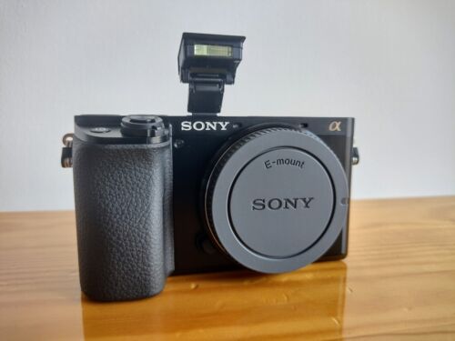 Sony Systemkamera 