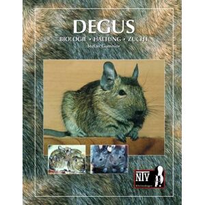 Stefan Gumnior - Gebraucht Degus: Biologie - Haltung - Zucht - Preis Vom 29.04.2024 04:59:55 H