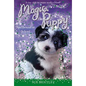 Sue Bentley - Gebraucht Spellbound At School (magic Puppy, Band 11) - Preis Vom 28.04.2024 04:54:08 H