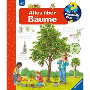 Susanne Gernhäuser - Gebraucht Alles über Bäume (wieso? Weshalb? Warum?, Band 52) - Preis Vom 23.04.2024 05:00:15 H