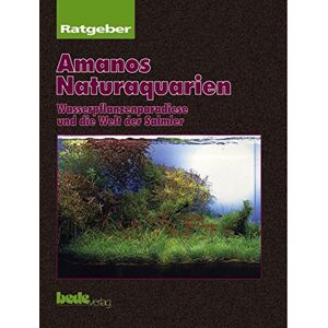Takashi Amano - Gebraucht Amanos Naturaquarien. Wasserpflanzenparadiese Und Die Welt Der Salmler - Preis Vom 04.05.2024 04:57:19 H