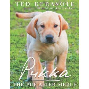 Ted Kerasote - Gebraucht Pukka: The Pup After Merle - Preis Vom 29.04.2024 04:59:55 H
