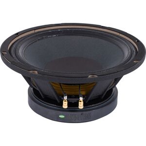The Box Speaker 10-250/8-a