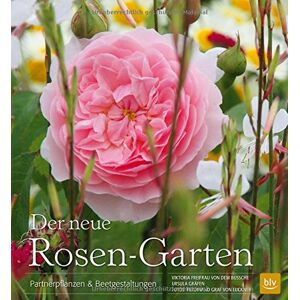 Ursula Gräfen - Gebraucht Der Neue Rosen-garten: Partnerpflanzen & Beetgestaltungen - Preis Vom 27.04.2024 04:56:19 H