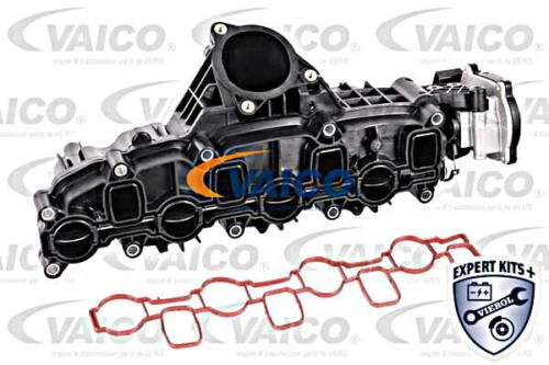 Vaico Saugrohrmodul Expert Kits + V10-5269 Für Skoda Seat Vw Audi 3c5 3c2 Passat