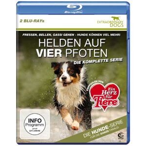 Vox - Gebraucht Helden Auf Vier Pfoten - Extraordinary Dogs - Die Komplette Serie [blu-ray] - Preis Vom 09.05.2024 04:53:29 H