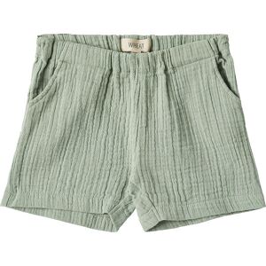 Wheat Shorts - Luca - Aquaverde - Wheat - 68 - Shorts