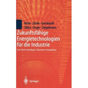 Zukunftsfähige Energietechnologien Für Die Industrie | Buch | 9783540638407